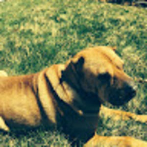 Meet your Posher, Michaela